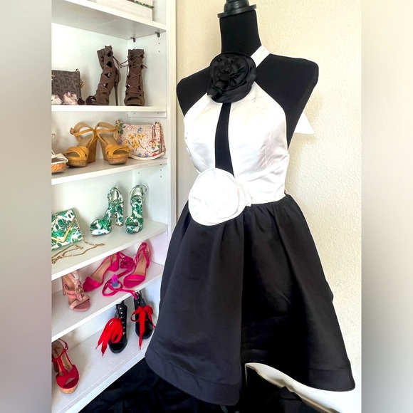 L’atiste by Amy Formal Dress - Picture 1 of 7